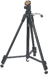 mg1.gif